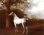 雅克 劳伦特 阿加斯 : 牧场里的白马